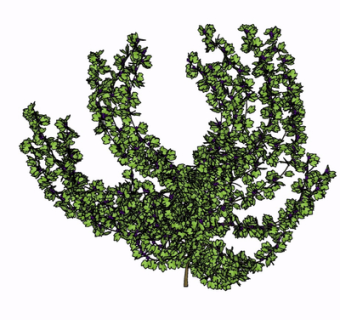 现代绿植花草su模型