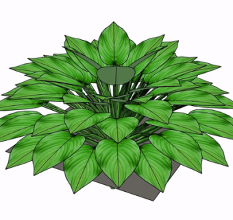 现代绿植盆栽su模型