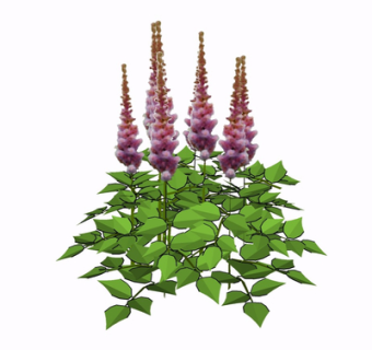 现代花草植物su模型