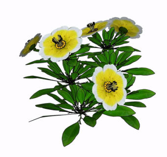 现代花草植物su模型