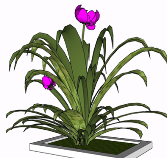现代花草植物su模型