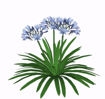 现代花草植物su模型