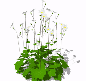 现代绿植花草su模型