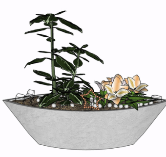 现代绿植盆栽su模型