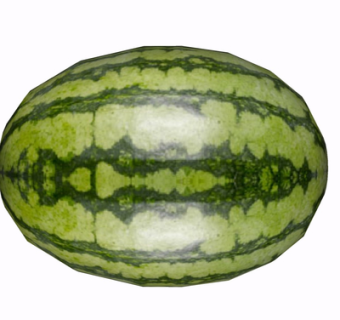 现代西瓜su模型