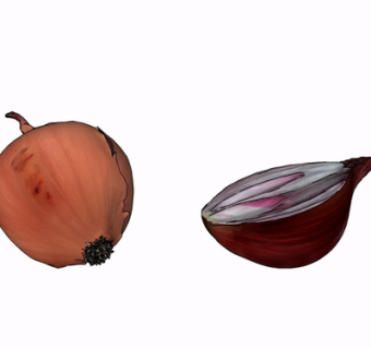 现代洋葱su模型