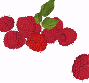 现代桑葚su模型