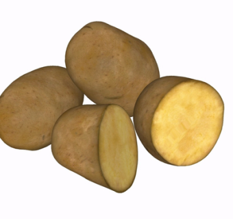 现代土豆su模型