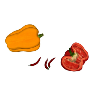 现代辣椒西红柿su模型