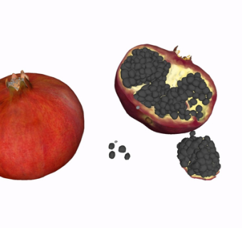 现代石榴su模型