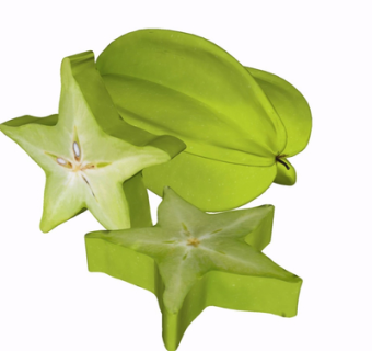 现代杨桃su模型