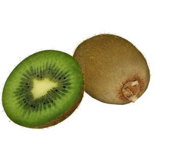 现代猕猴桃su模型