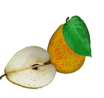 现代梨子su模型