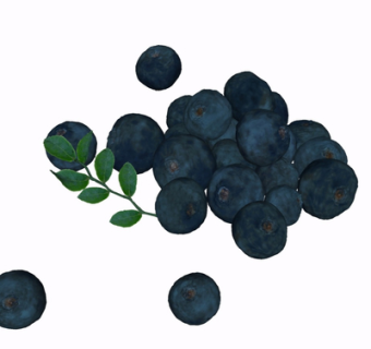 现代蓝莓su模型