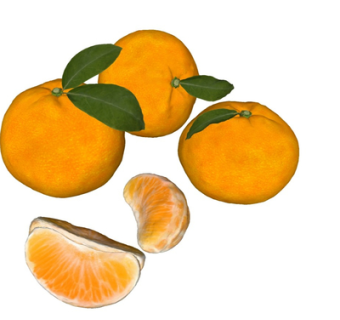 现代橘子su模型