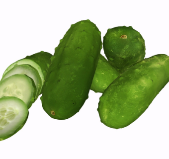 现代黄瓜su模型