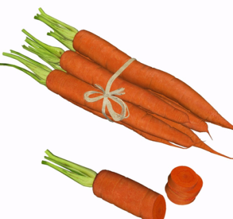 现代胡萝卜su模型