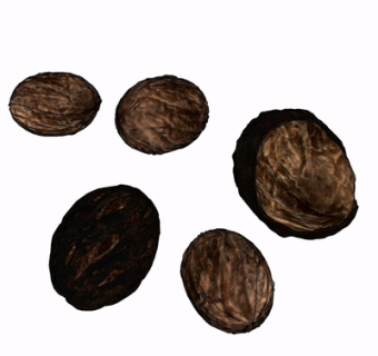 现代核桃su模型