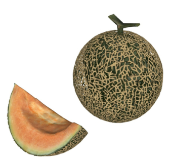 现代哈密瓜su模型