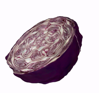 现代紫色卷心菜su模型