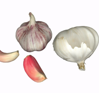 现代洋葱su模型