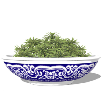 现代绿植盆栽su模型