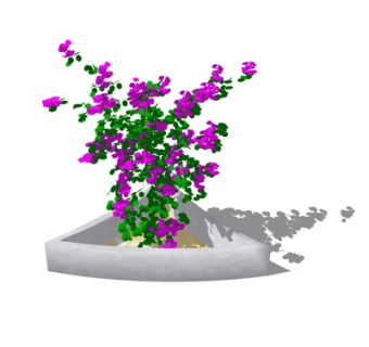 现代绿植花草su模型