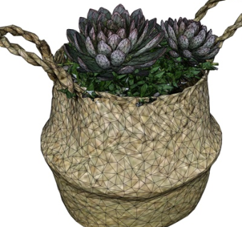 现代多肉植物盆栽su模型