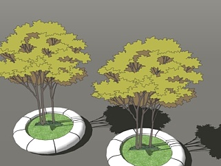现代树池景观树su模型