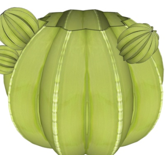 现代多肉植物su模型