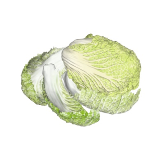 现代大白菜su模型