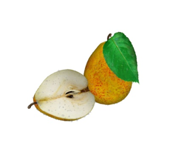 现代梨子su模型