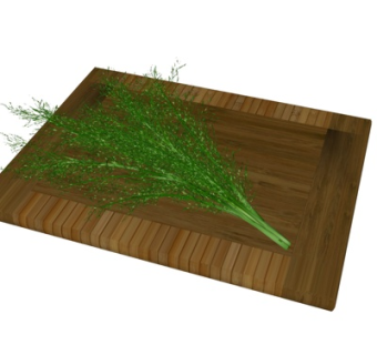 现代香菜su模型