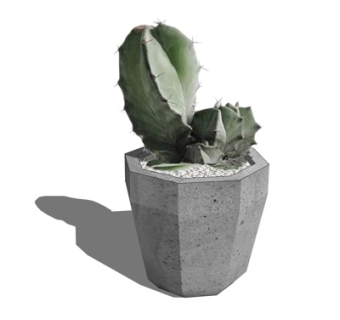 现代仙人掌盆栽su模型