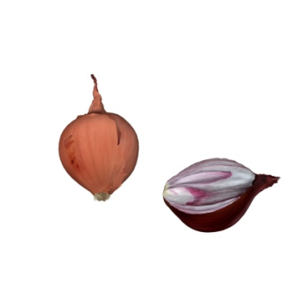 现代洋葱su模型