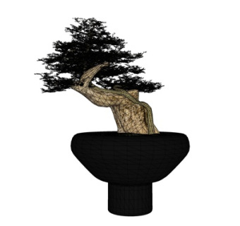 中式迎客松盆栽su模型