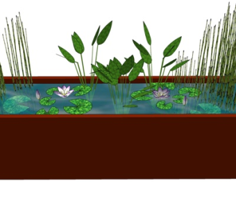 现代荷叶荷花景观水池su模型