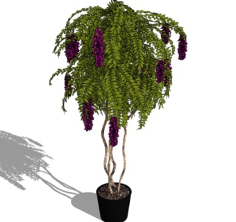 现代绿植盆栽su模型