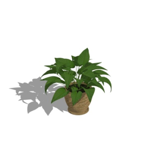 现代绿植盆栽su模型