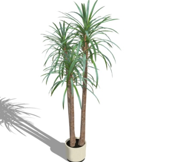 现代景观树盆栽su模型