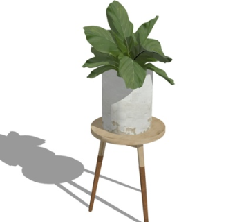 现代绿植盆栽su模型