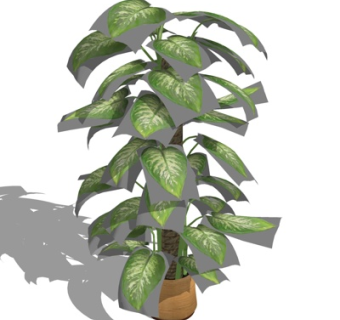 现代绿植盆栽su模型