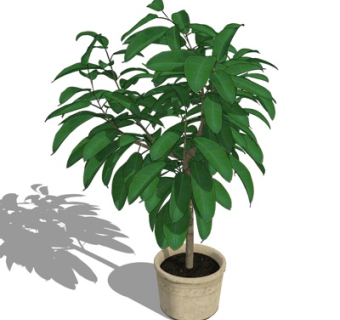 现代绿植盆栽su模型