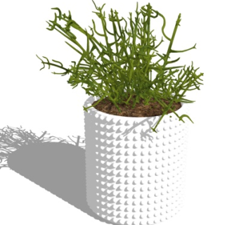 现代绿植盆栽su模型