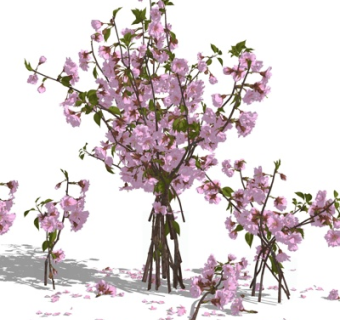 现代桃花枝su模型