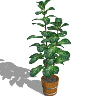 现代绿植盆栽su模型
