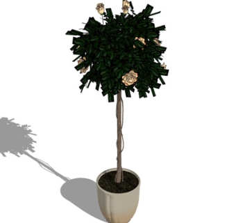 现代绿植盆栽su模型