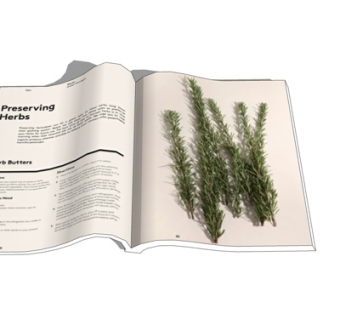 现代书籍su模型