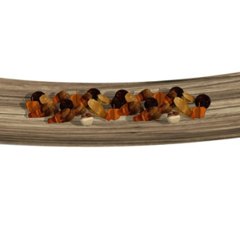 现代坚果su模型