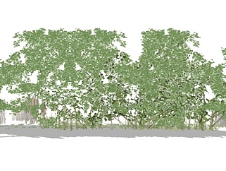 现代2d花草绿植景观su模型